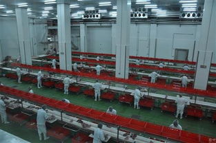 一個項目能否支撐羅牛山股價？海口軟件開發成關鍵焦點